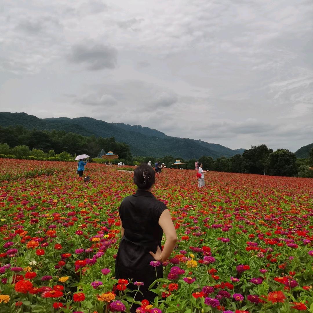 山下炊烟