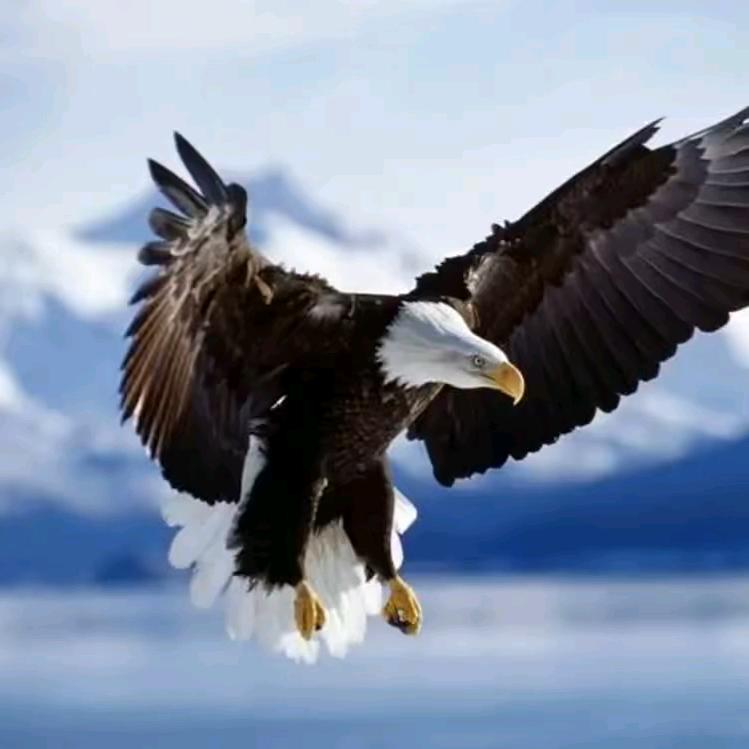 大山深处的孩子