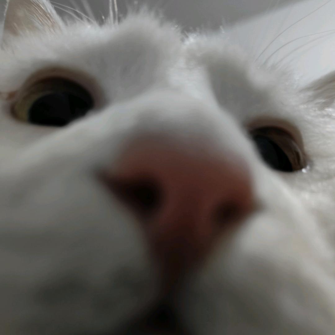 lllll-