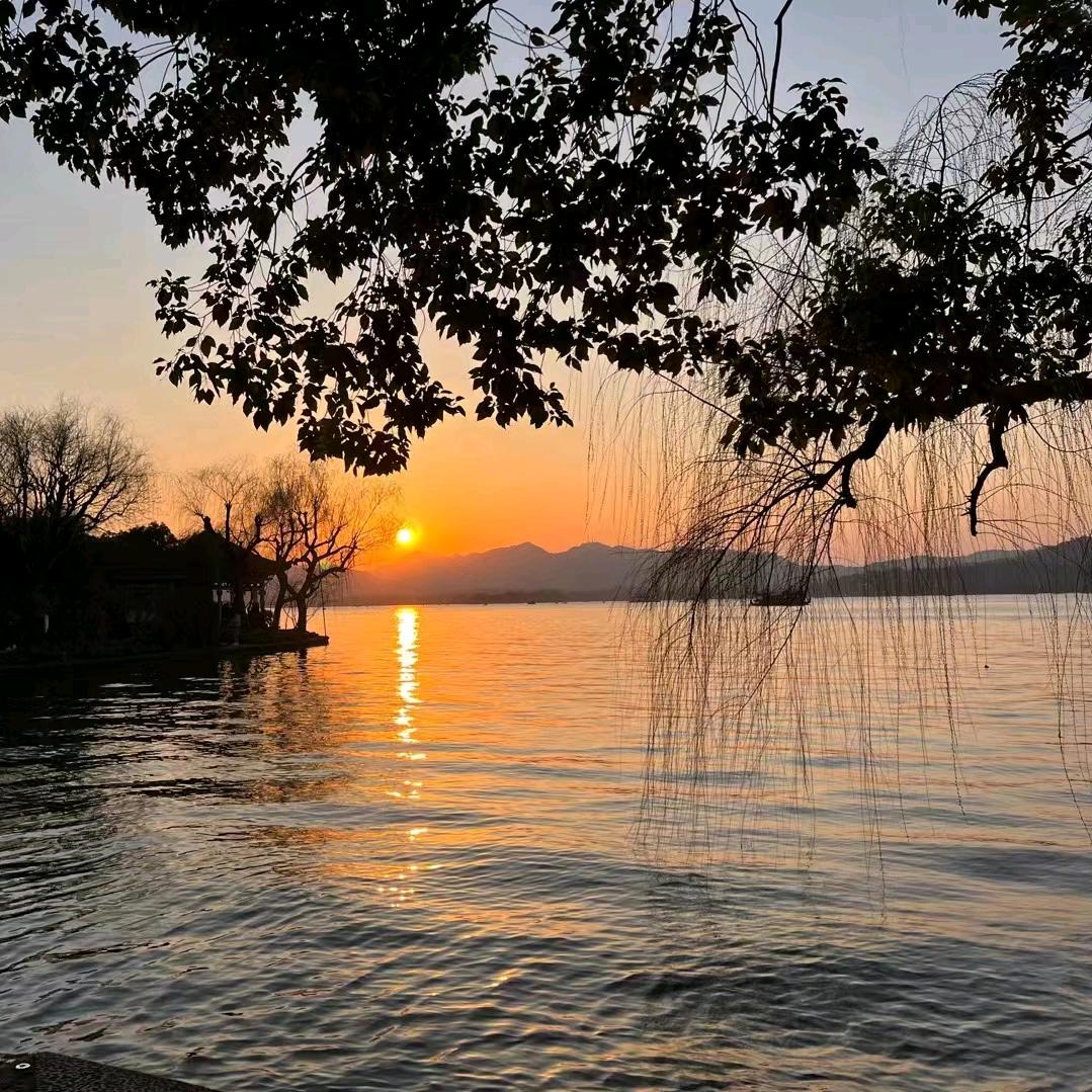 浪迹天崖⊙▽⊙