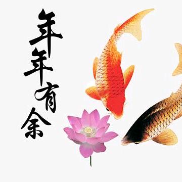 A年年
