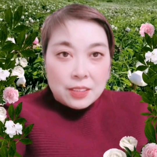 百花齐放