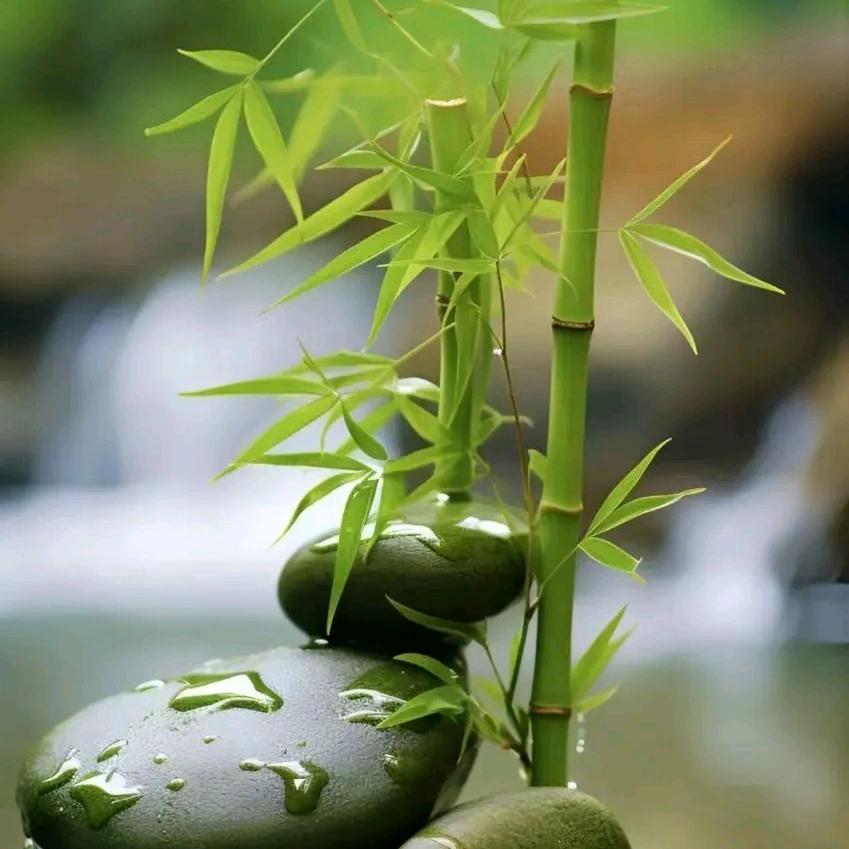 丽红^O^。
