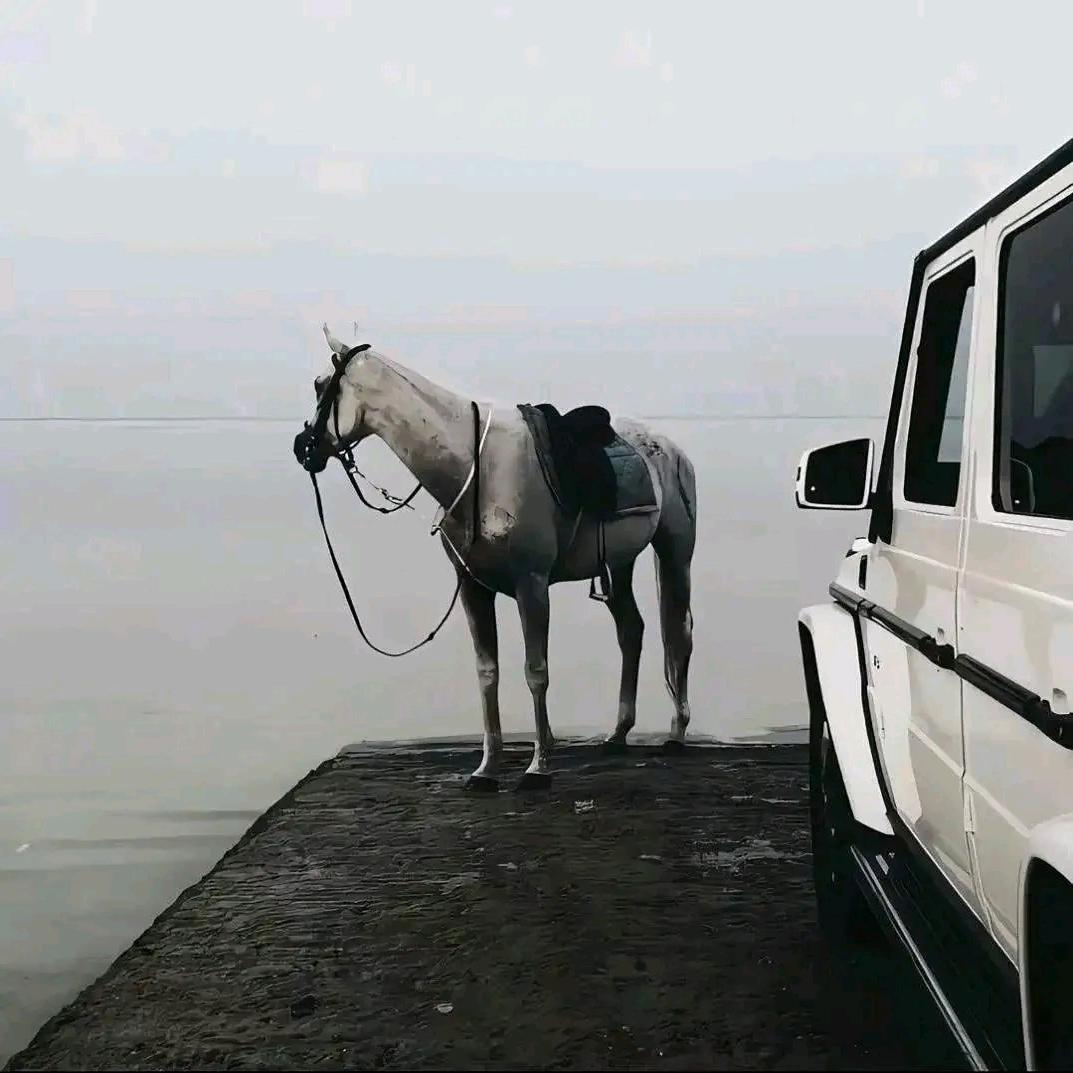 黑土