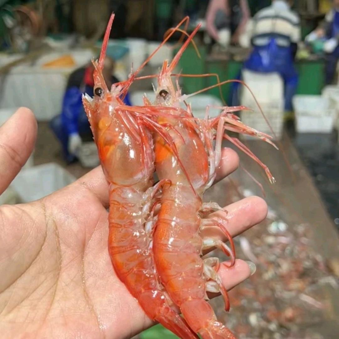 优品刺身供应店