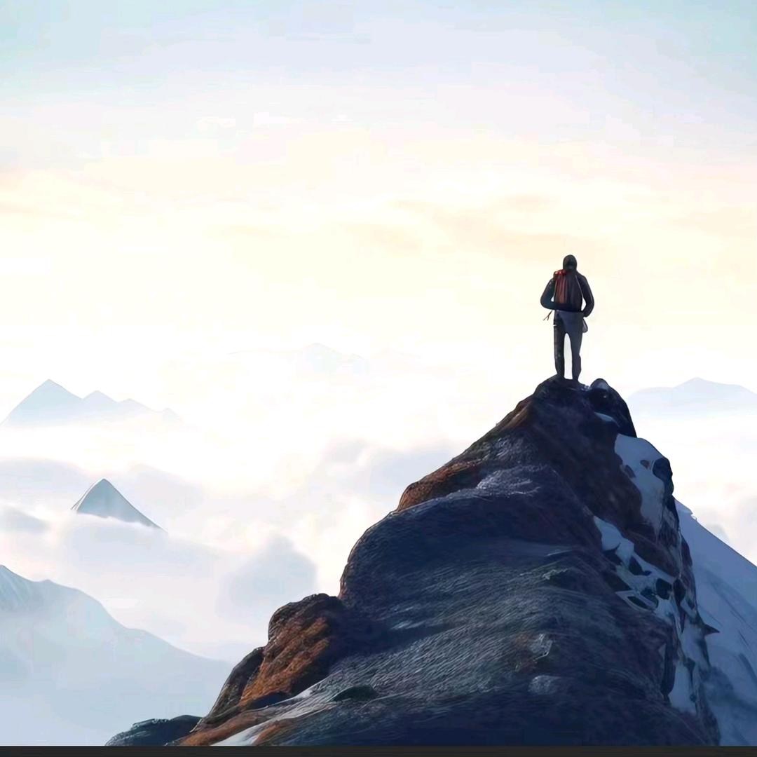 不吃香菜的四哥