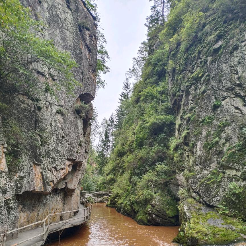 🌈踏雪寻熊🌈