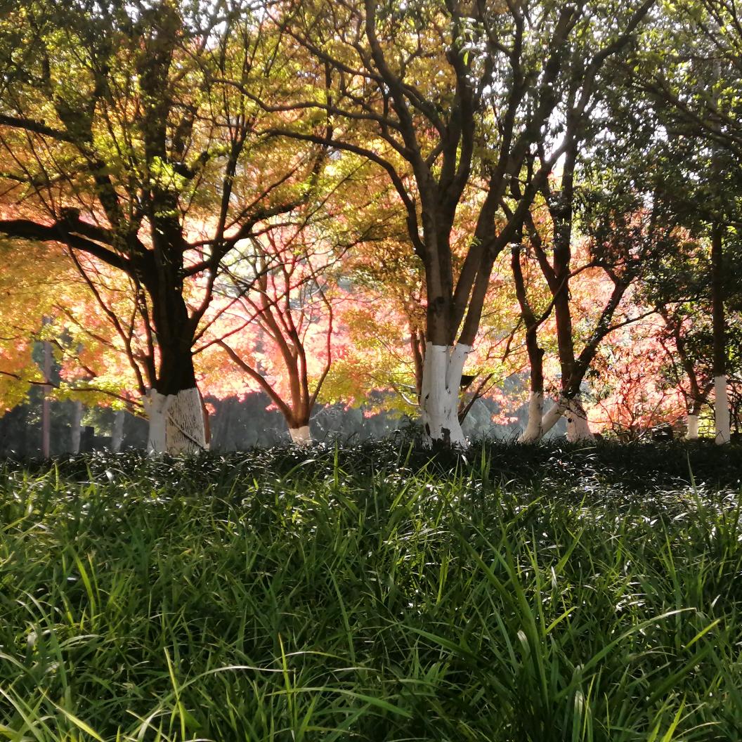 水润心田