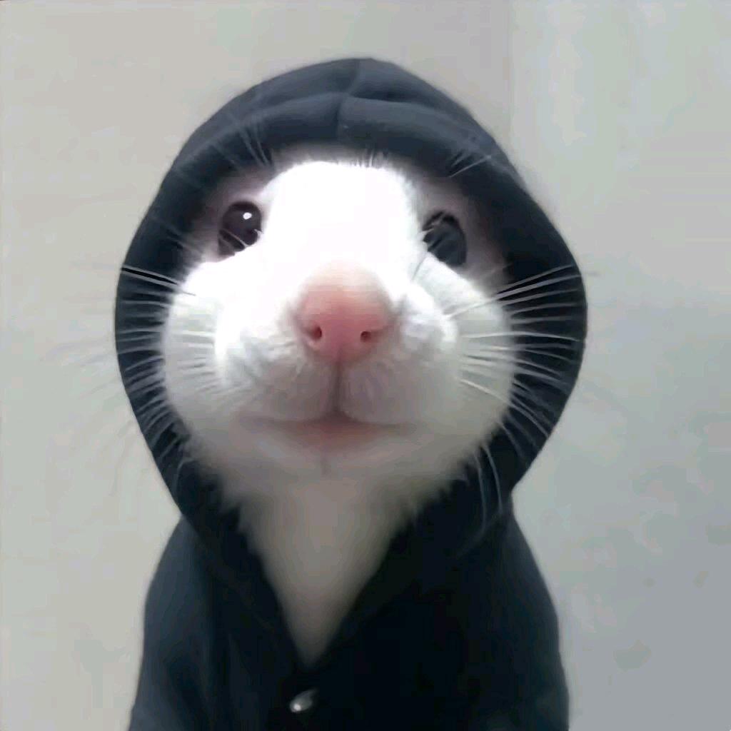 不知名