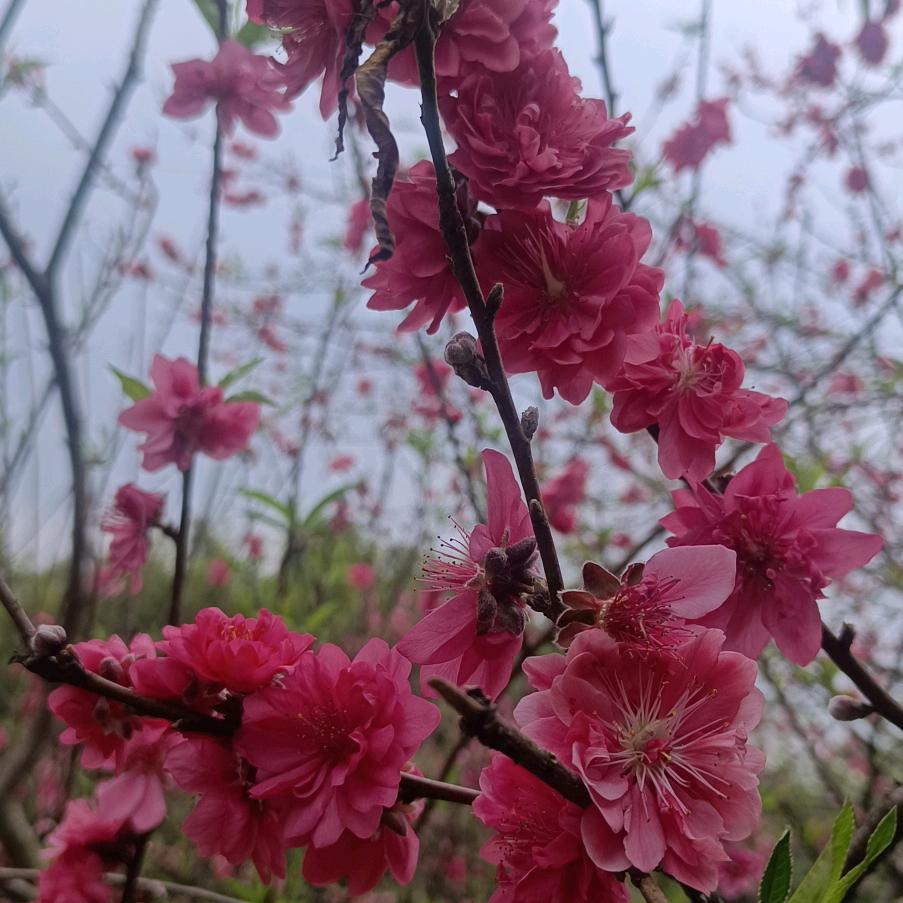 🌈有你们，有幸福