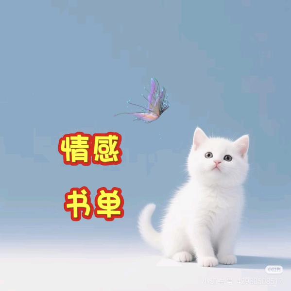 东北傻妞
