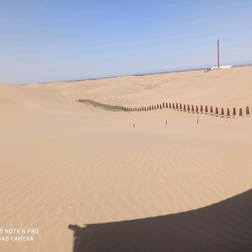 开°˖✧︎◝︎(⁰▿︎⁰)◜︎✧︎˖°心