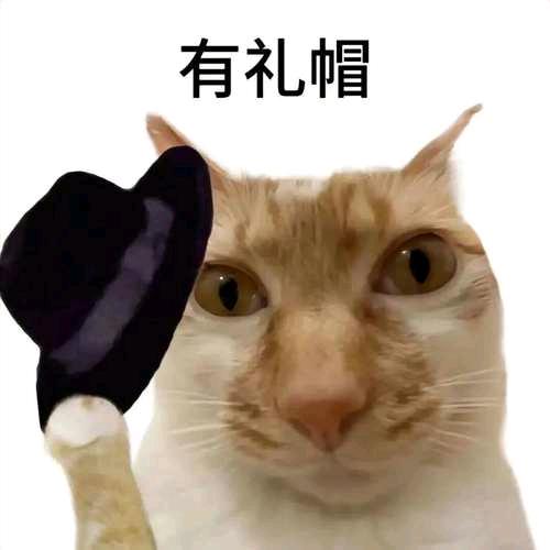 乡下入的猫