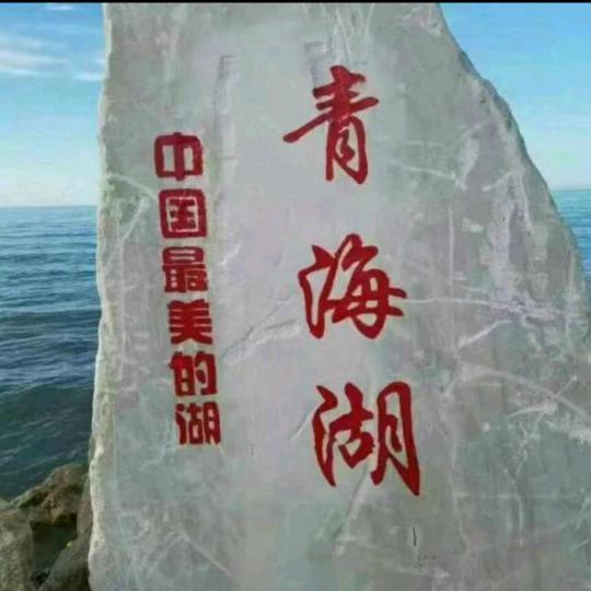 情感天涯浪子