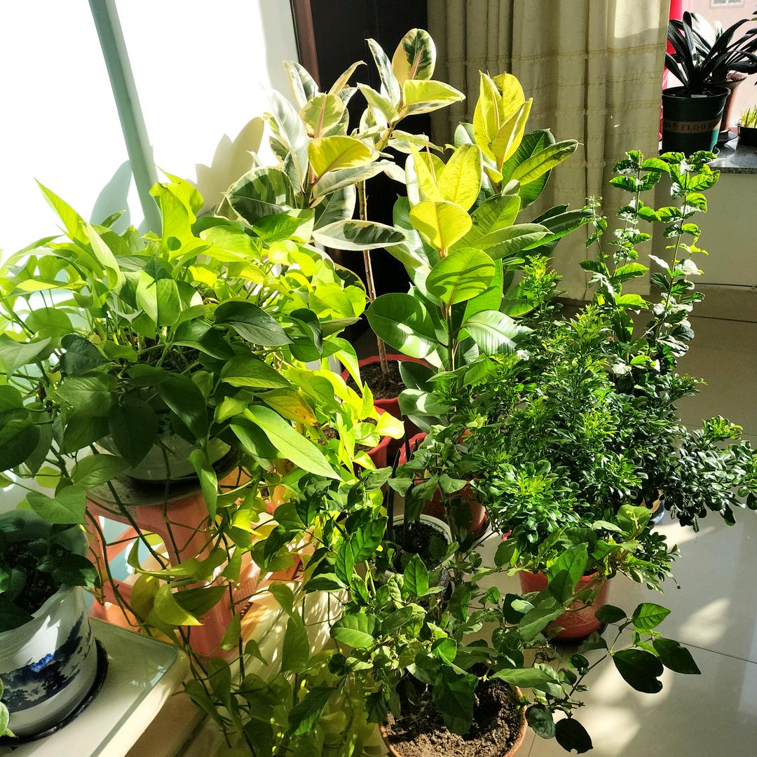 快乐永哥（橱窗有好物）