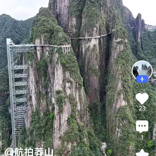 累了谁痛？