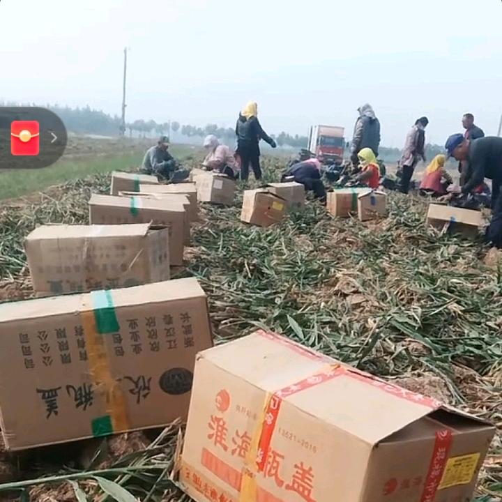 张舍劳务队