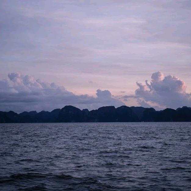 道缘堂文化传播