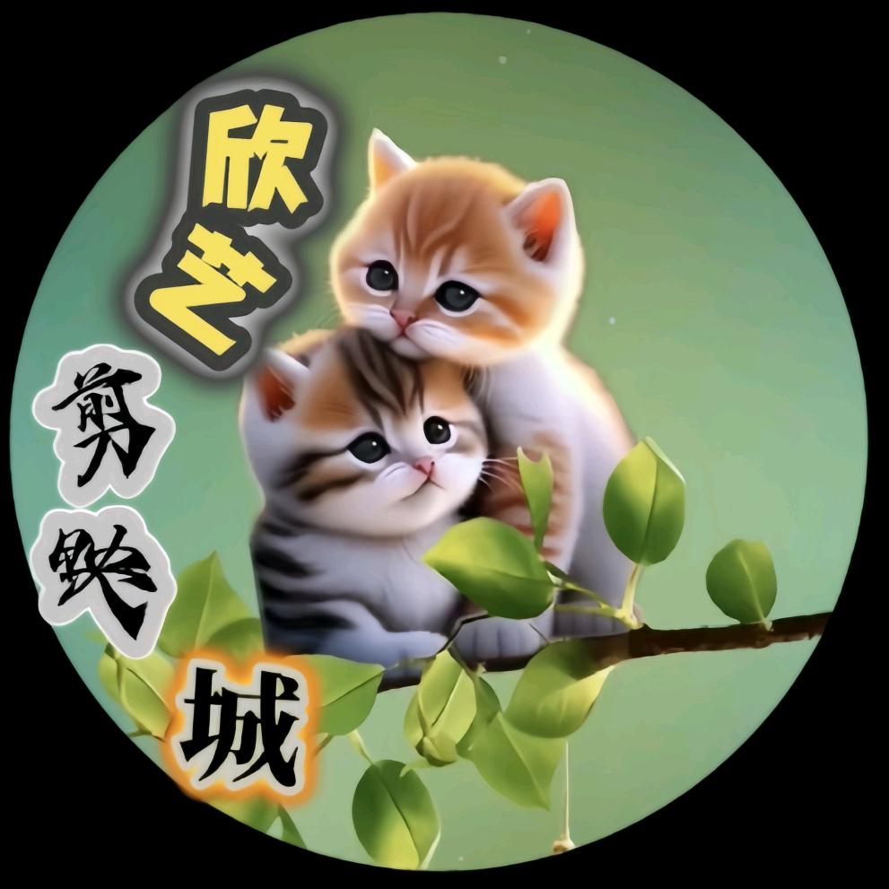 艺欣剪映城