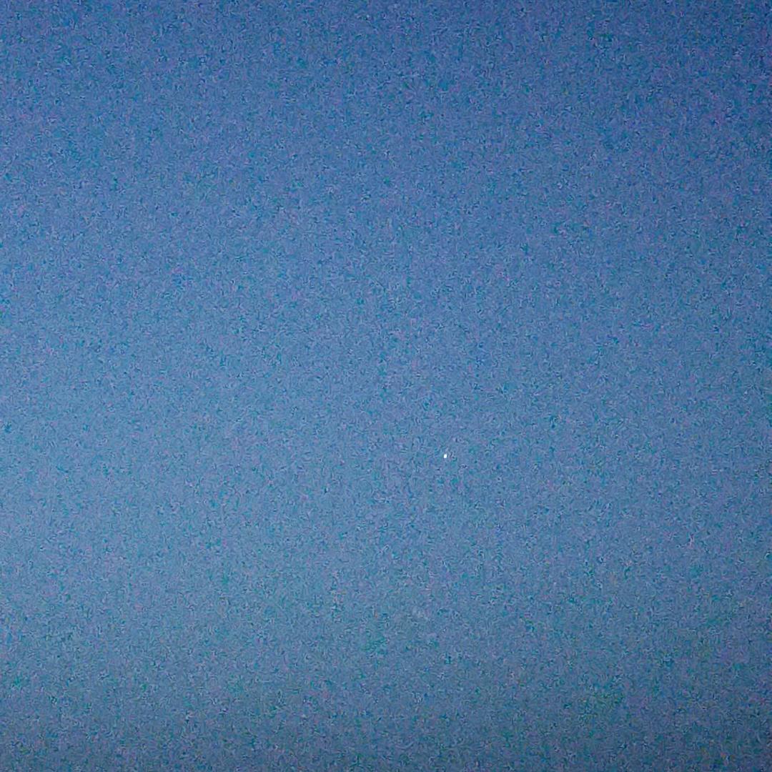 氵九木