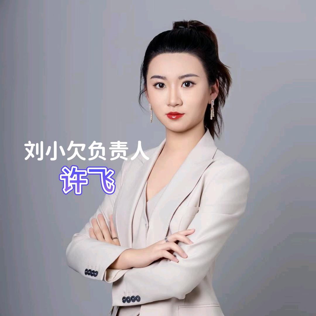 许飞｜刘小欠全屋定制｜联盟负责人