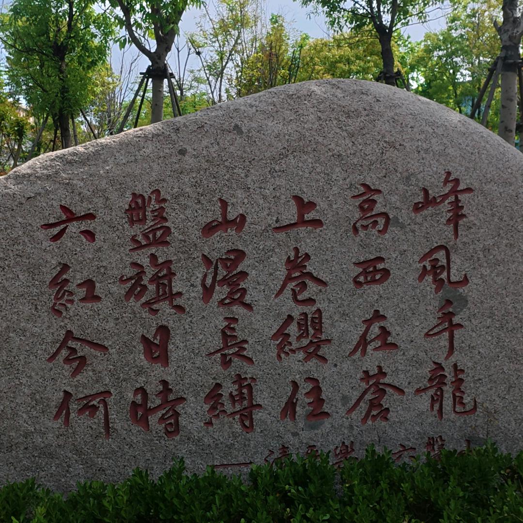 不爱上学的懒人