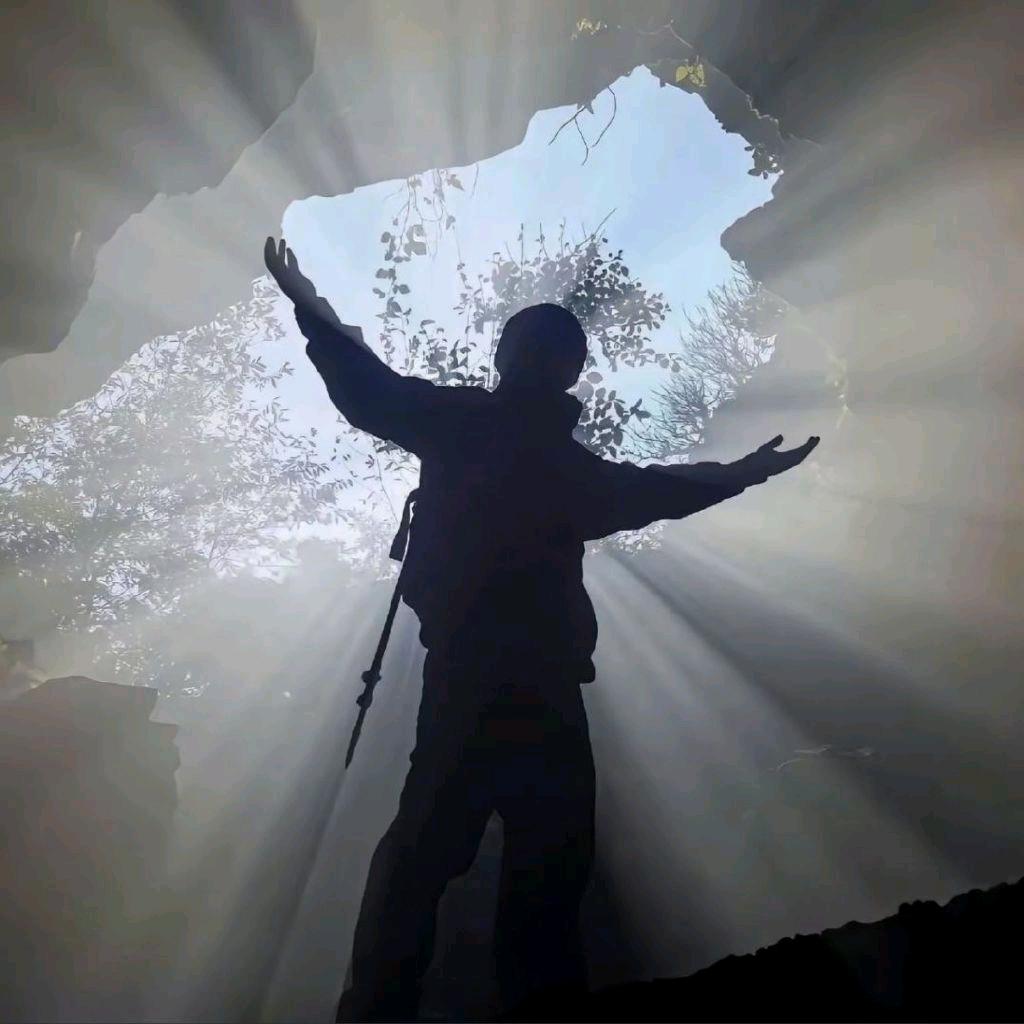 见我也需尽低眉