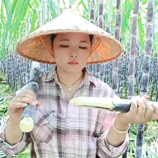 甘蔗小妹(橱窗好物多)