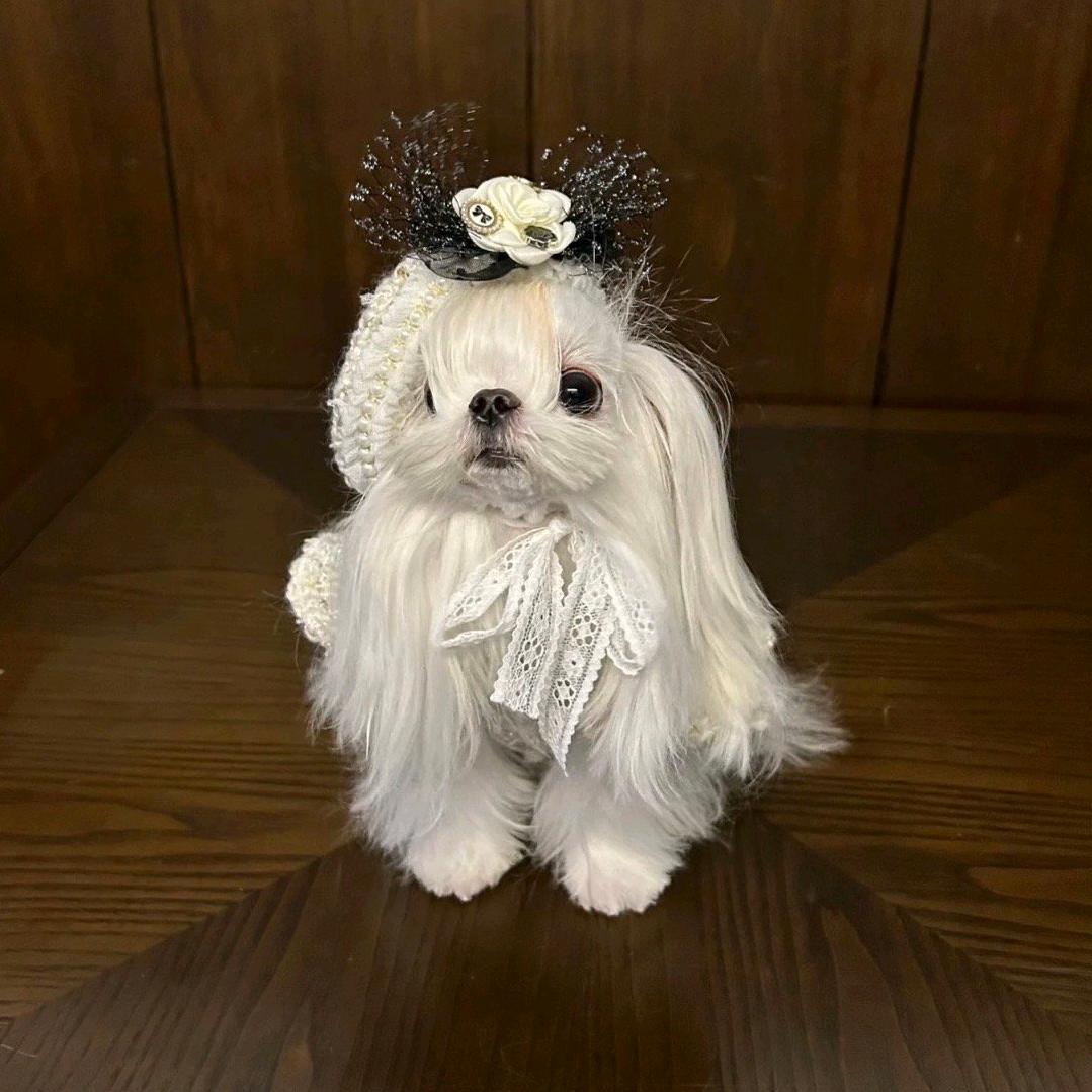 发财🤑🤑🤑🤑🤑🤑🤑🤑