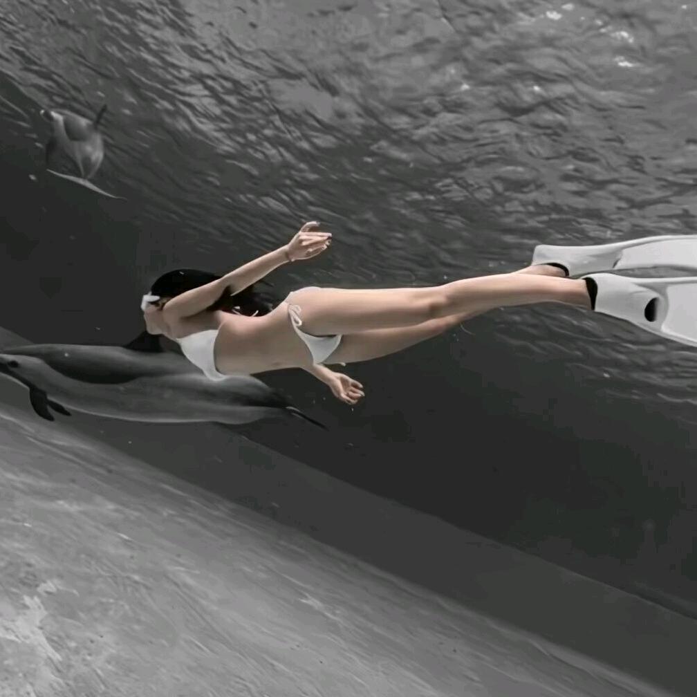 帝尚台球53号小敏