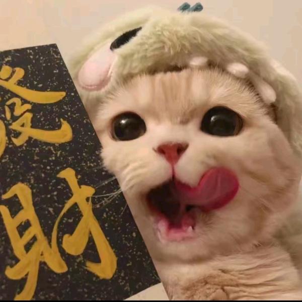 不穿內褲。