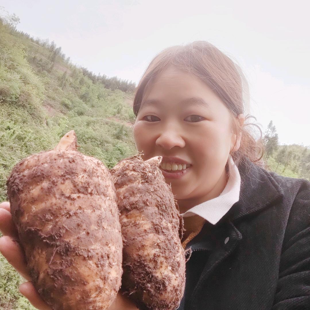 小草坝天麻专业种植户