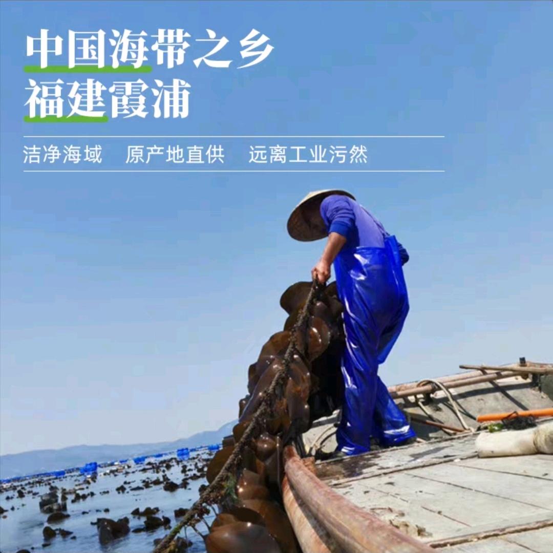 开来海产