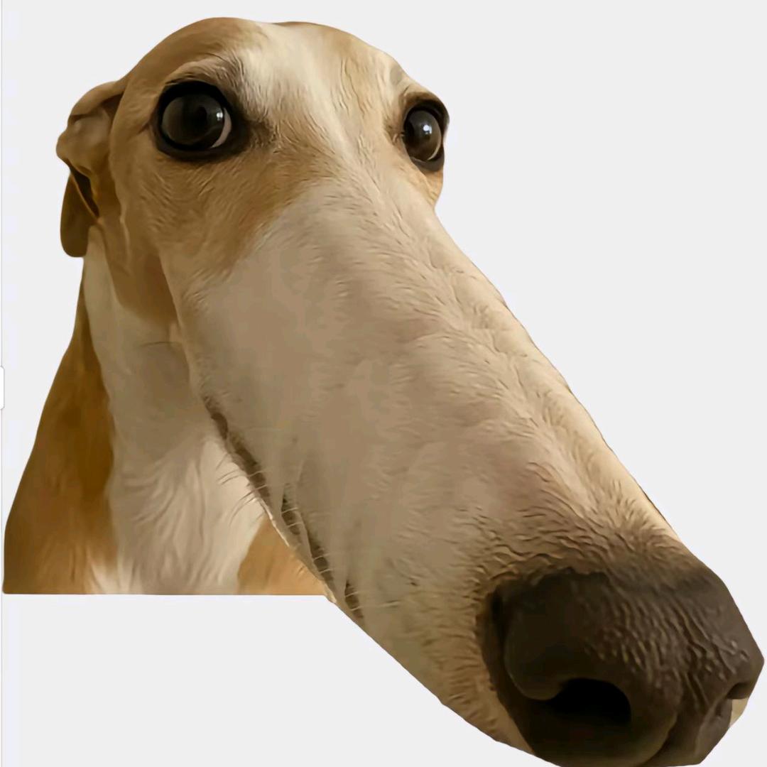 立花