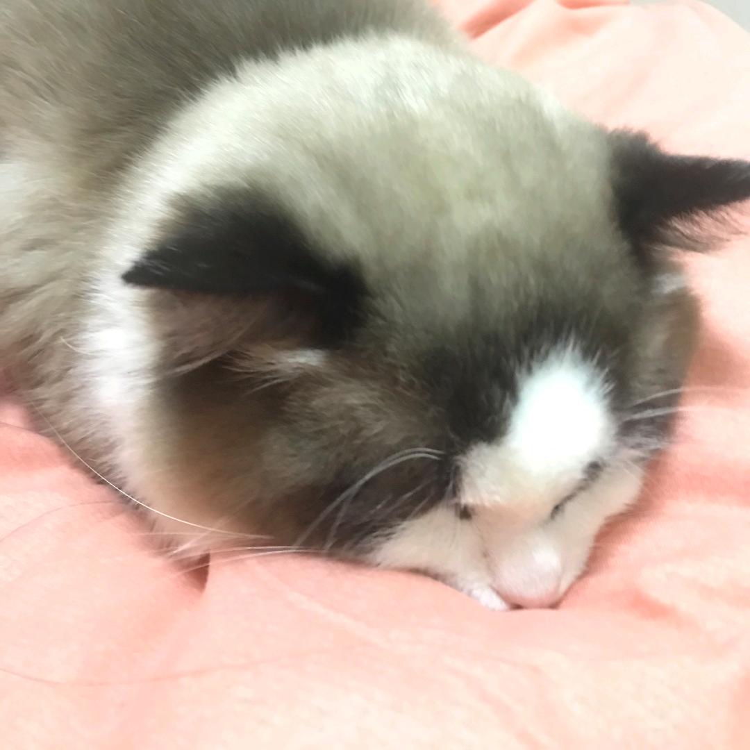 幸运星