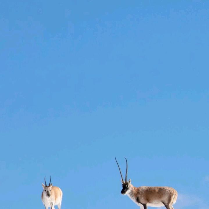 忘掉过去朱纪娥