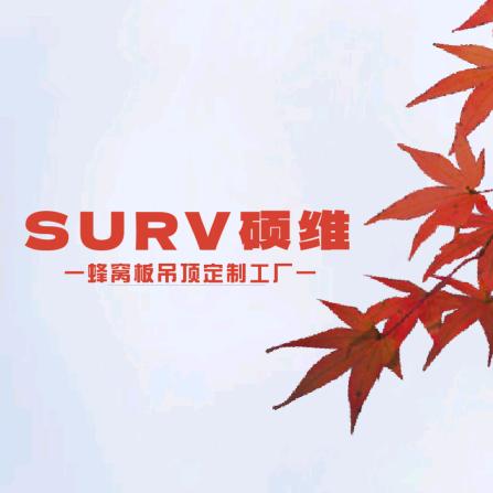 硕维