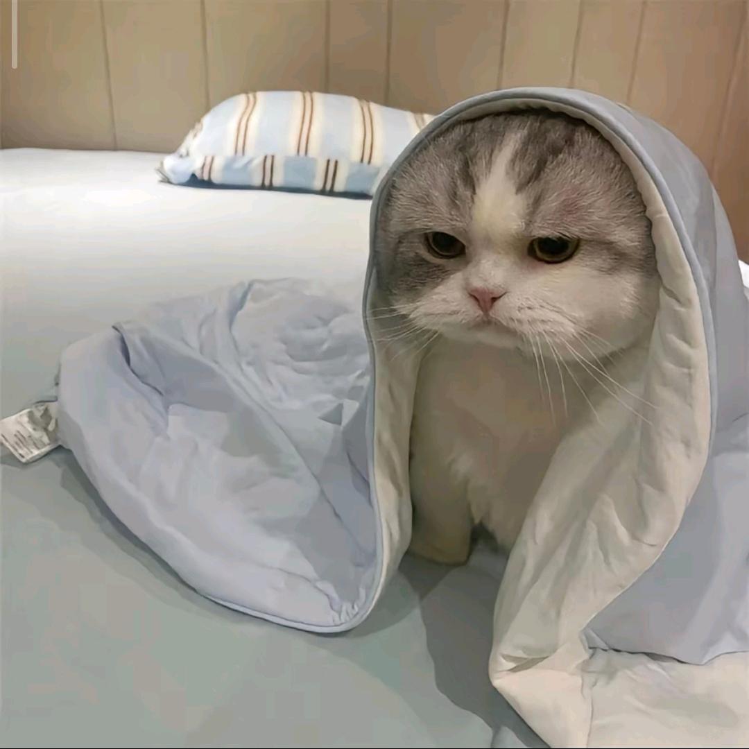 柠檬苏打水