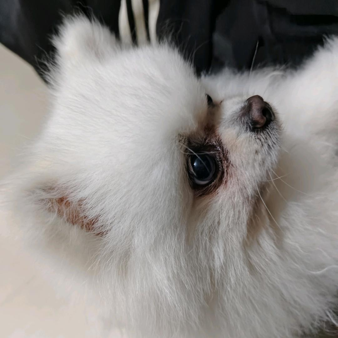 零一秒