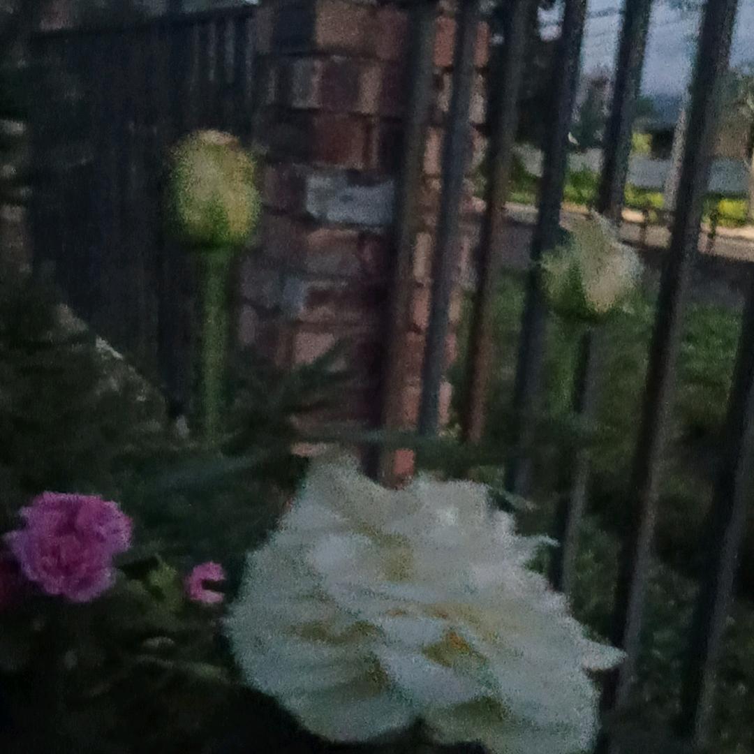 天下客