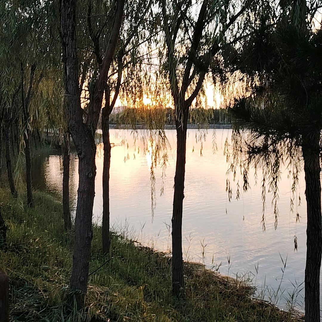 平凡老刘的平凡生活