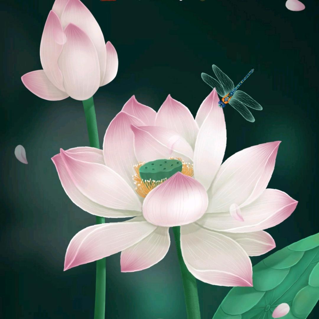 @宇1349💕头像
