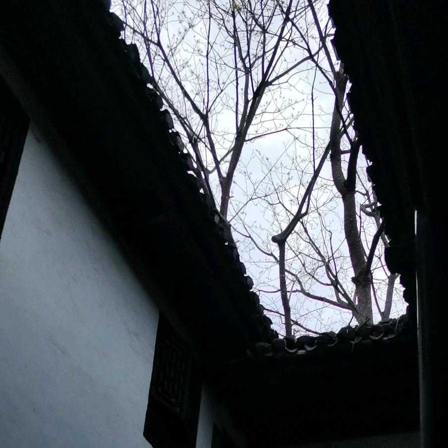 鱼最后的归宿是龙宫