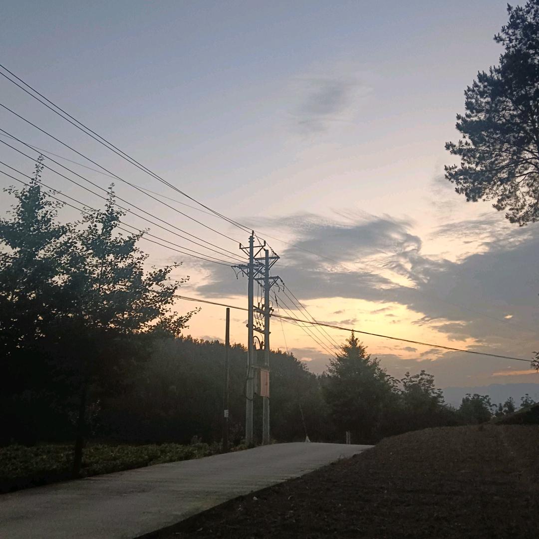 网络情缘见彩虹