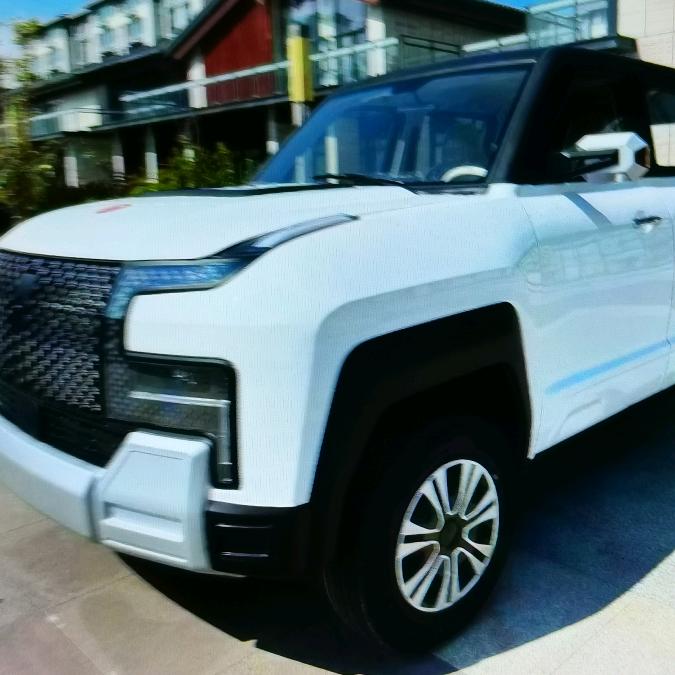 天下-新能源低速代步车销售中心