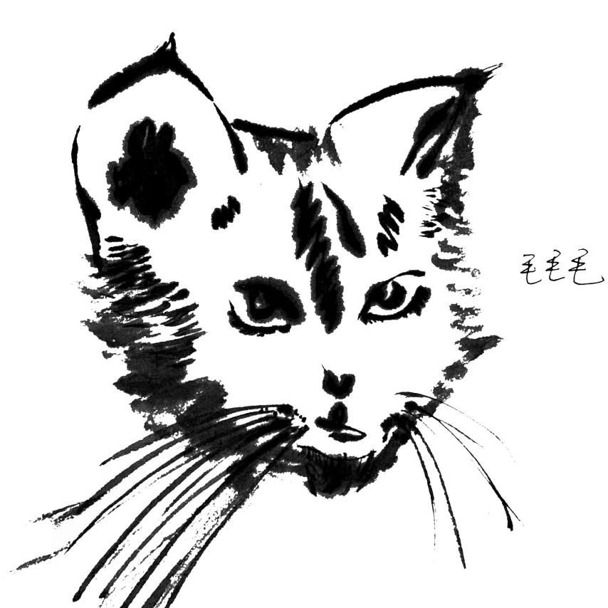 动感光波biubiu