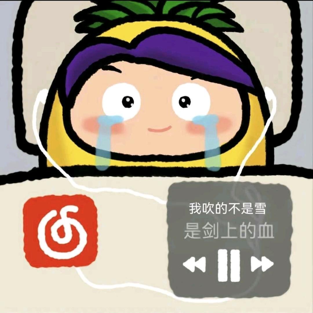 榴莲味的文西