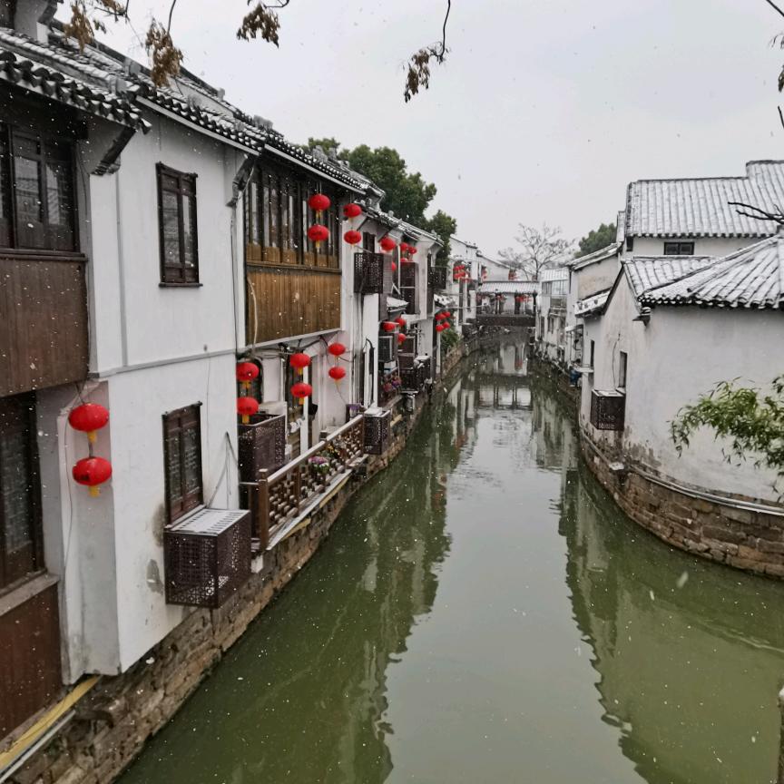 汤圆是只猫