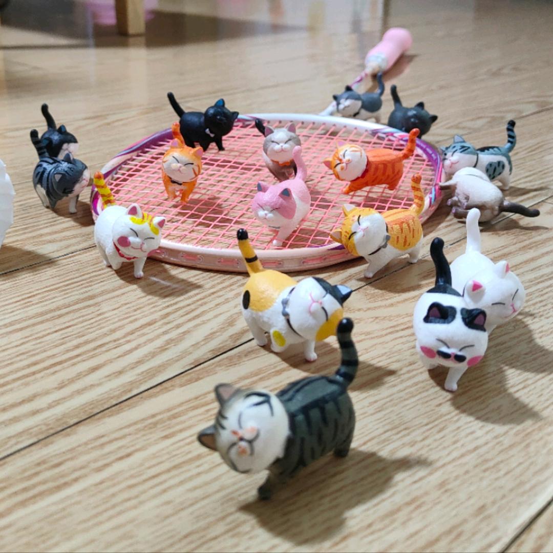 ccccc是cici呀