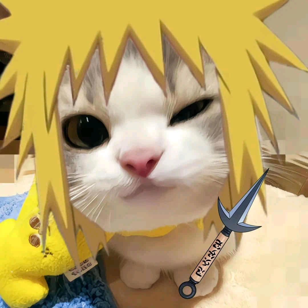 庞邢洋帆—（希梦）